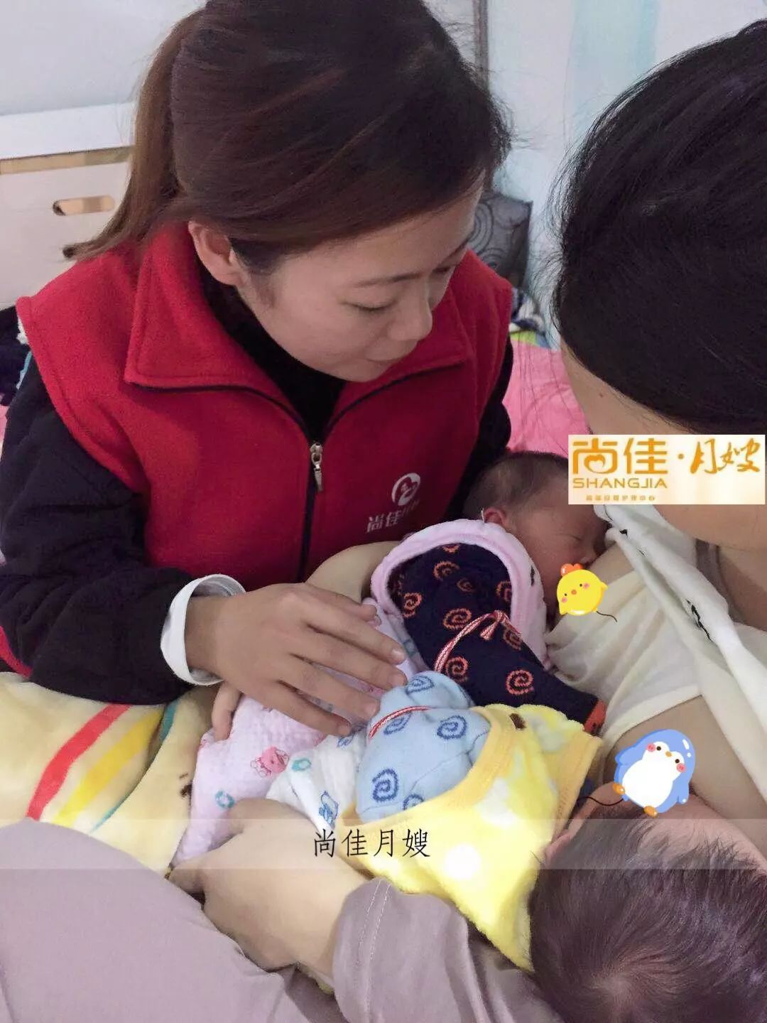 尚佳專業(yè)月嫂丨初生嬰兒需要吃多少？